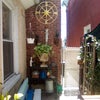 Photo 8: Backyard 