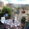 Photo 7: Backyard