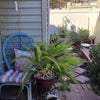 Photo 9: Patio and door to laundry room
