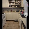 Photo 7: Kitchen