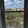 Photo 5: View from Private Room