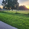 Photo 7: Across the street walk/bike/jog on paved path