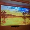 Photo 6: Living room 122 inch projector
