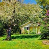 Photo 9: Front yard 