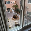 Photo 4: view from your bedroom