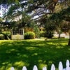Photo 6: Front yard