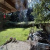 Photo 3: Backyard