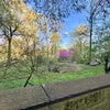 Photo 6: view directly accross st from Bldg