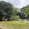 Photo 7: View from park of bldg