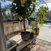 Photo 3: Patio