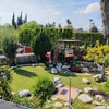 Photo 7: Backyard