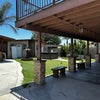 Photo 7: Backyard