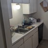 Photo 5: Sink and dishwasher in kitchen