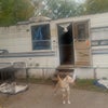Photo 4: It's the back door room. 4 rent