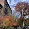 Photo 9: Autumn