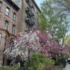 Photo 7: Spring time 