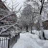 Photo 8: Winter