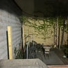 Photo 4: backyard & deck