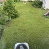 Photo 7: Lots of privacy and natural yard
