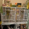 Photo 7: Their castle so you have some idea. Their fortress is cleaned daily. Deep cleaded weekly