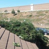 Photo 2: Clean and serene neighborhood