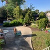 Photo 4: Yard