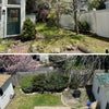 Photo 8: Yard