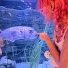 Photo 7: I love aquariums and all animals !
