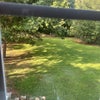 Photo 2: Large fenced in backyard