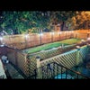 Photo 6: Backyard 