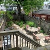 Photo 9: backyard