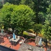 Photo 3: Private yard landscape 