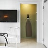 Photo 6: TV and Walk-in Closet