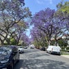 Photo 9: Street