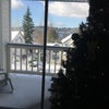 Photo 2: View from the back porch 