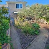 Photo 6: Garden