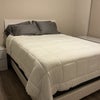Photo 4: New mattress