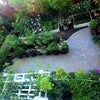 Photo 8: Back Yard