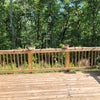 Photo 9: Yard view from deck to enjoy