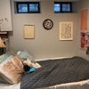 Photo 4: Queen bed + windows to street