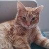 Photograph of Richie