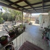 Photo 4: Part of the backyard 