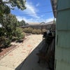 Photo 6: Another part of private backyard 