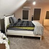 Photo 2: View of Bedroom Windows