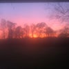 Photo 6: Sunset View Front Yard