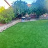 Photo 2: Back Yard