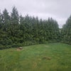 Photo 2: big private yard
