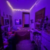 Photo 8: Free Bedroom (furnished by current roommate who is moving out) view 1