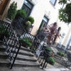 Photo 2: The Block on Striver Row... West 138th