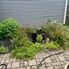 Photo 9: Fountain and seating in an enclosed private yard